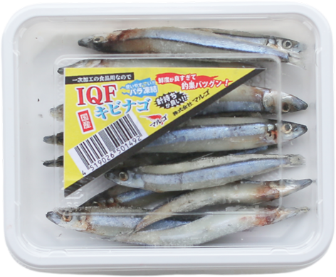 <span>キビナゴＩＱＦ　”釣れるエサづくりへのこだわり”</span>